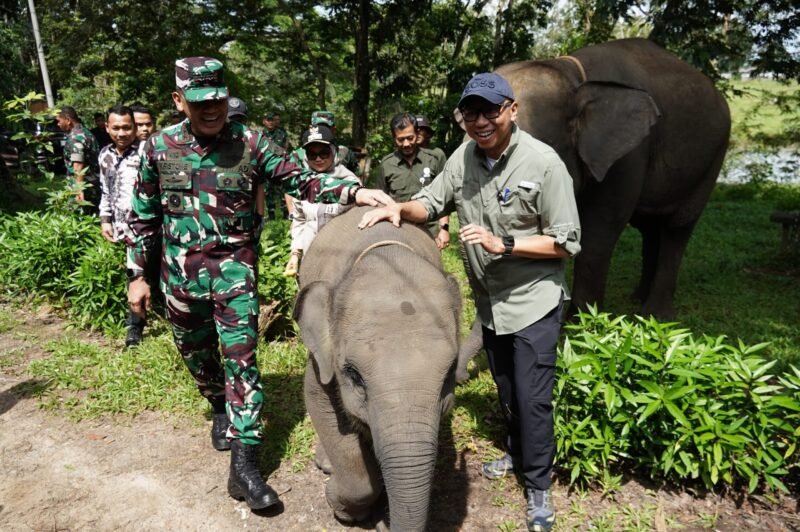 Tinjau TNWK Gubernur Lampung Rahmat Mirzani Djausal siapkan solusi permanen atasi konflik gajah Way Kambas dengan membangun batas kawasan sepanjang 70 km. (Foto:ist)