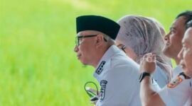 Gubernur Lampung Rahmat Mirzani Djausal menyatakan kesiapan Lampung menjadi tulang punggung pangan nasional. (foto: ist)