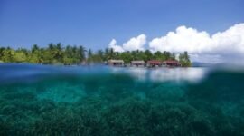 Konservasi terumbu karang. (Foto: ist)