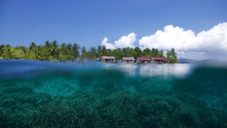 Konservasi terumbu karang. (Foto: ist)