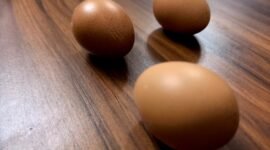 Cangkang telur dapat menjadi penyubur tanah efektif dan murah. (Foto: Lingkartani)