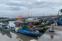 Jajaran perahu bertambat di dermaga Lampung Selatan. (Foto: Kitani)