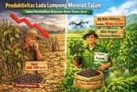 Produktivitas lada Lampung anjlok dari 2 ton menjadi hanya 500–700 kg per hektare akibat tanaman tua dan hama.