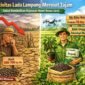 Produktivitas lada Lampung anjlok dari 2 ton menjadi hanya 500–700 kg per hektare akibat tanaman tua dan hama.