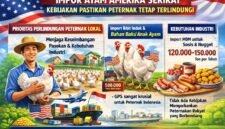 Pemerintah membatasi impor hanya untuk bibit induk (GPS), bahan baku industri olahan (MDM), dan beras klasifikasi khusus. (Ilustrasi: Kitani.id)