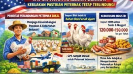Pemerintah membatasi impor hanya untuk bibit induk (GPS), bahan baku industri olahan (MDM), dan beras klasifikasi khusus. (Ilustrasi: Kitani.id)