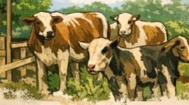 Pemerintah Provinsi Lampung ingin memastikan peternak paham cara melindungi aset ternak secara mandiri. (ilustrasi: Kitani.id)