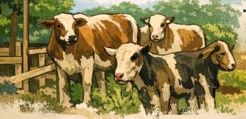 Pemerintah Provinsi Lampung ingin memastikan peternak paham cara melindungi aset ternak secara mandiri. (ilustrasi: Kitani.id)