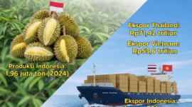 Perlu riset dana penataan majanemen kebun untuk meningkatkan kualitas durian  Indonesia. (Grafis: Kitani)