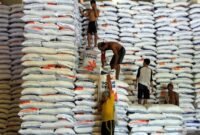 Stok beras Bulog amankan kebutuhan beras Lampung selama Ramadan. (Foto: ist)
