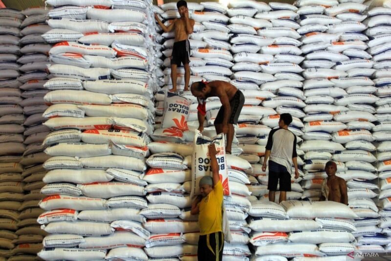Stok beras Bulog amankan kebutuhan beras Lampung selama Ramadan. (Foto: ist)