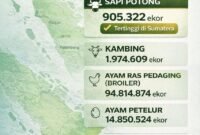 Populasi ternak dan produksi daging Provinsi Lampung 2025 surplus. (Infografis Kitani.id)