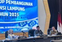 Wakil Gubernur Jihan Nurlela saat mendampingi Gubernur Rahmat Mirzani Djausal.(Foto:kitani.id)