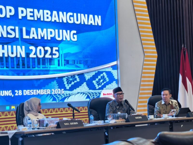 Wakil Gubernur Jihan Nurlela saat mendampingi Gubernur Rahmat Mirzani Djausal.(Foto:kitani.id)