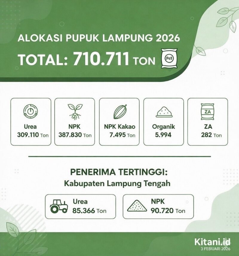 infografis jatah pupuk subsidi untuk Lampung. (infografis: Kitani.id)