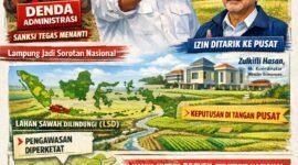 Lampung masuk dalam 12 provinsi prioritas Lahan Sawah Dilindungi (LSD) berdasarkan Perpres No. 4 Tahun 2026.(Ilustrasi: Kitani.id)