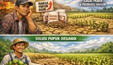 Diversifikasi negara asal bahan baku, optimalisasi produksi dalam negeri, dan peralihan ke pupuk organik untuk menjaga kesuburan tanah.(ilustrasi: Kitani.id)