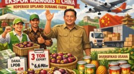 Keterbatasan modal menjadi penghambat utama bagi koperasi dalam memenuhi permintaan pasar global yang masif. (ilustrasi: Kitani.id)
