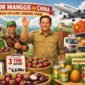 Keterbatasan modal menjadi penghambat utama bagi koperasi dalam memenuhi permintaan pasar global yang masif. (ilustrasi: Kitani.id)