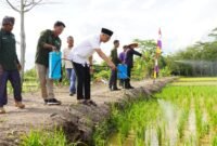 Setahun masa jabatan Gubernur Mirza meletakkan fondasi pembangunan pertanian di Lampung. (Foto:ist)