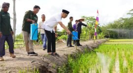 Setahun masa jabatan Gubernur Mirza meletakkan fondasi pembangunan pertanian di Lampung. (Foto:ist)