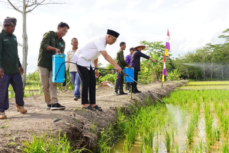Setahun masa jabatan Gubernur Mirza meletakkan fondasi pembangunan pertanian di Lampung. (Foto:ist)