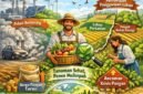 Udara bersih Menunjang produktivitas pertanian.(Ilustrasi: Kitani.id)