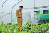 Gubernur Mirza dorong optimalisasi BUMDes dan Koperasi Desa Merah Putih. (Foto: ist)