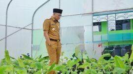Gubernur Mirza dorong optimalisasi BUMDes dan Koperasi Desa Merah Putih. (Foto: ist)