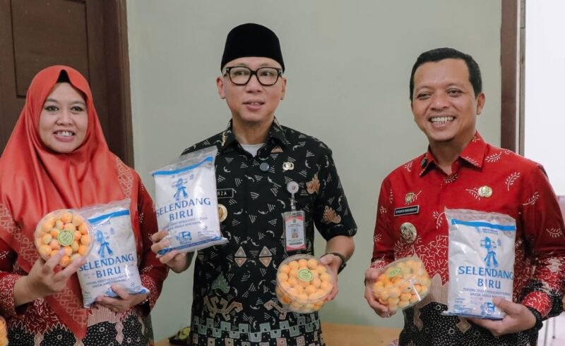 Produk Tepung Mocaf Pringsewu. (Foto: ADPIM Pemprov)