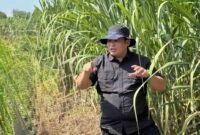 Plt Direktur Jenderal Perkebunan, Abdul Roni Angkat, mendorong program hilirisasi secara terintegrasi, mulai dari penyiapan lahan, CPCL, hingga pembangunan ekosistem industri produk turunan.(Foto: ist)