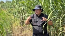 Plt Direktur Jenderal Perkebunan, Abdul Roni Angkat, mendorong program hilirisasi secara terintegrasi, mulai dari penyiapan lahan, CPCL, hingga pembangunan ekosistem industri produk turunan.(Foto: ist)