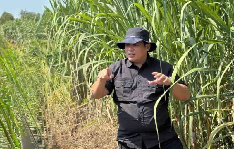 Plt Direktur Jenderal Perkebunan, Abdul Roni Angkat, mendorong program hilirisasi secara terintegrasi, mulai dari penyiapan lahan, CPCL, hingga pembangunan ekosistem industri produk turunan.(Foto: ist)