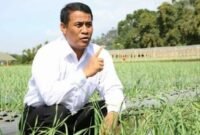 Menteri Pertanian, Andi Amran Sulaiman, saat meninjau lahan persawahan.(foto: ist)