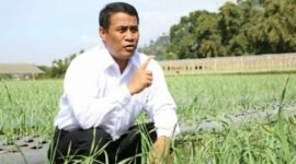 Menteri Pertanian, Andi Amran Sulaiman, saat meninjau lahan persawahan.(foto: ist)