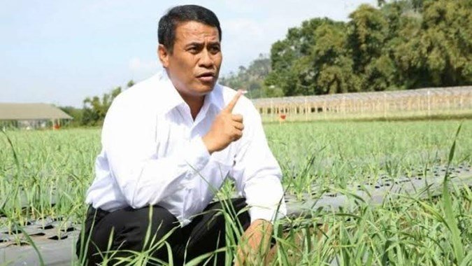 Menteri Pertanian, Andi Amran Sulaiman, saat meninjau lahan persawahan.(foto: ist)