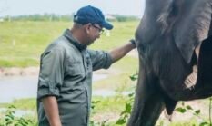 Gubernur Mirza Apresiasi Restorasi Ekosistem Way Kambas