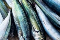 Nilai ekspor ke AS mencapai USD 1,17 miliar pada 2025, dengan komoditas unggulan udang dan tuna.(Foto:ist)