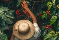 Nasib petani kopi yang tak sejalan dengan kemewahan narasi penjual.(Foto: ist)