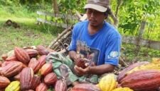 Penguatan rantai pasok kakao melalui agregasi petani, perbaikan sistem pascapanen, dan integrasi logistik dari hulu ke hilir.