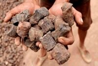 Gambir salah satu komoditas  ekspor Indonesia diburu dunia, namun bernilai rendah. (Foto: ist)