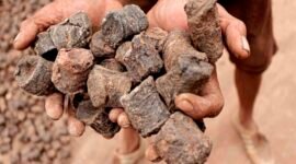 Gambir salah satu komoditas  ekspor Indonesia diburu dunia, namun bernilai rendah. (Foto: ist)