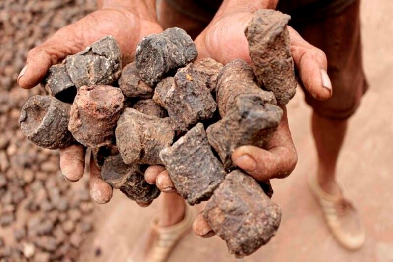 Gambir salah satu komoditas  ekspor Indonesia diburu dunia, namun bernilai rendah. (Foto: ist)