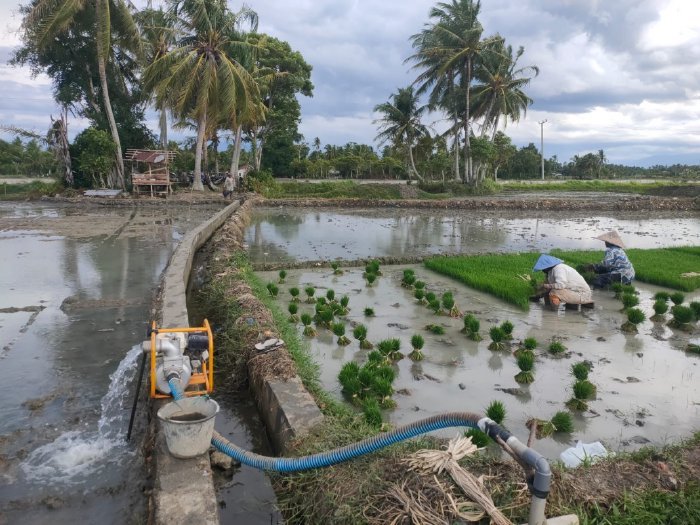 Pengaktifan pompanisasi seluas 2,2 juta hektar, rehabilitasi irigasi, dan penggunaan benih padi adaptif. (foto: ist)
