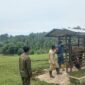 Ancaman penyakit Brucellosis yang dapat menyebabkan keguguran pada sapi dan menular ke manusia (zoonosis). (*)