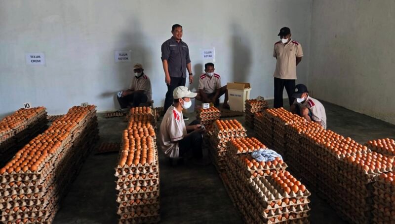 Pelaksanaan audit NKV untuk memastikan manajemen pemeliharaan memenuhi prinsip ASUH (Aman, Sehat, Utuh, dan Halal).(Foto: ist)