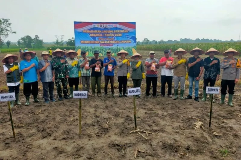 Penanaman jagung serentak oleh Polri untuk mendukung program ketahanan pangan Presiden RI.