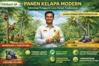 Penggunaan alat panjat kelapa inovasi dari Institut Teknologi Sepuluh Nopember (ITS).(Ilustrasi: ist)