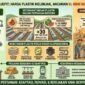 Antisipasi kenaikan harga plastik global melalui pengalihan penggunaan mulsa organik, lalu inovasi smart farming, dan penguatan subsidi dari pemerintah.(ilustrasi: Kitani) 