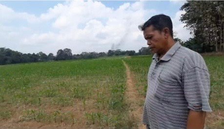 Pengembangan usaha mandiri mulai dari penyewaan alsintan, penerapan teknologi padi hibrida, hingga pengolahan beras kemasan merek lokal oleh Imam Khanafi. (Foto: Bayu)